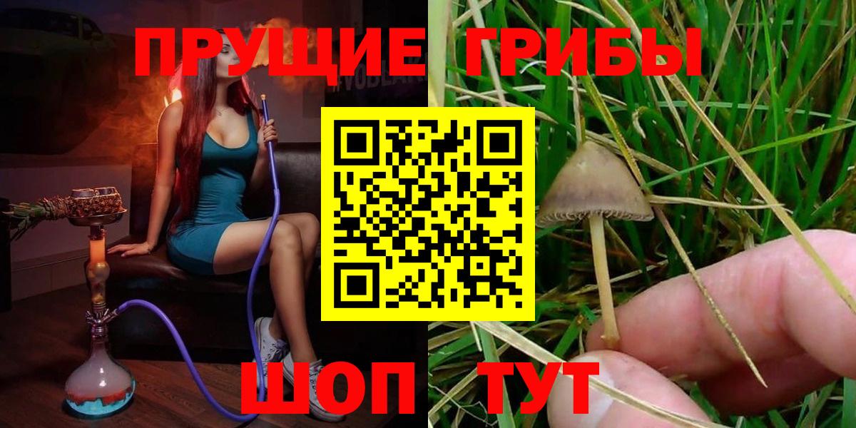 Белогорск  Галлюциногенные грибы ЛСД  Вход с VPN 