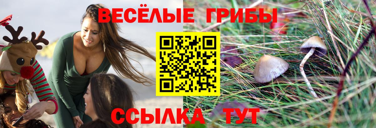 Псилоцибиновые грибы GOLDEN TEACHER Белогорск